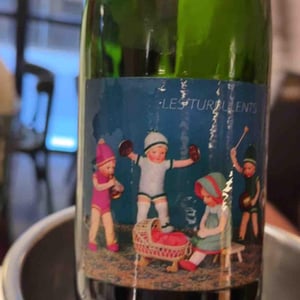 Les Turbulents - Thomas Puéchavy - thomas-puechavy