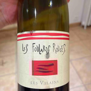 Les Vilains - Les Foulards Rouges - jean-francois-nicq