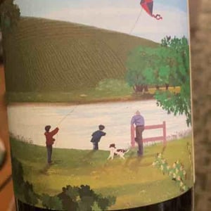 L'étang de nos souvenirs - Champagne Romain Henin - romain-henin