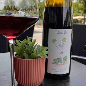 Libre Comme L'air - Catherine Riss - catherine-riss