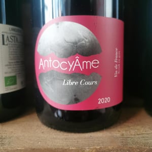 Libre Cours - AntocyÂme - muriel-zoldan