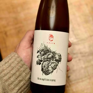 Like An Angel's Kiss in Spring - Marto Wines - Weingut Wörner - martin-worner -2023