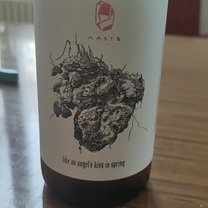 Like An Angel's Kiss in Spring - Marto Wines - Weingut Wörner - martin-worner -2023