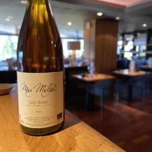 Lilly Rose - Mas Mellet - emilie-brice-bolognini