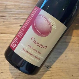 L'Ingénu - Ratapoil - estelle-raphael-monnier