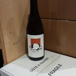 Lirac Rosé - Romain Le Bars - romain-le-bars