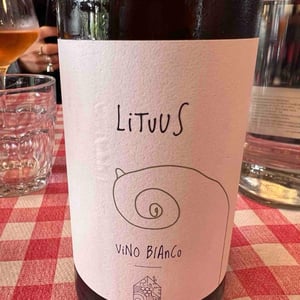 Lituus - Il Pliò - Carlo Ettore Tambussi -2024