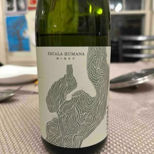 Livvera - Escala Humana - escala-humana