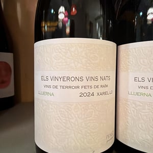 Lluerna - Els Vinyerons / Sin Project - amos-baneres-merinero-alex-ruiz-masachs