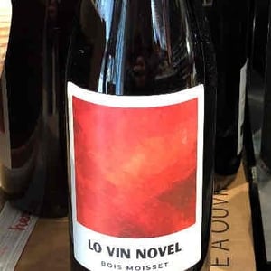 Lo vin Novel - Domaine Ferme Bois Moisset - sylvie-philippe-maffre