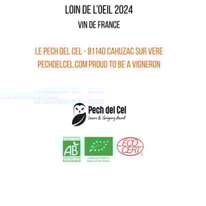LOIN DE L'OEIL - Domaine Du Pech Del Cel - laure-et-gregory-aurel -2024