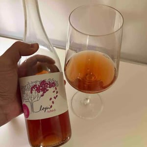 Lopi Rosa - La Via del Colle - francesco-bandi -2023