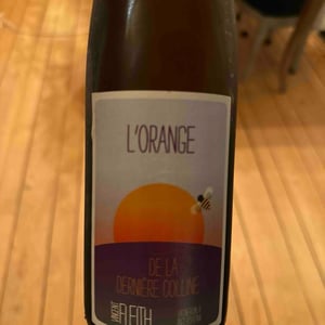 l'Orange de la dernière colline - Vincent Fleith - brigitte-et-vincent-fleith -2022