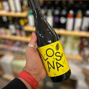 losna - Azienda Agricola Delinquent - giovanni-albesano