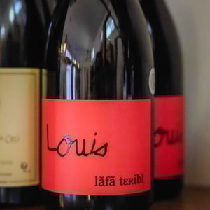 LOUIS (lafa teribl) - A Nolay Côte D’or - francois-bergeret -2020