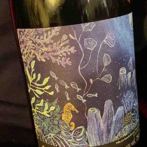 P'tit Luchini - Vins Hodgson - mai-kenji-hodgson