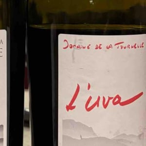 L'Uva Rouge - Domaine de la Tournelle - pascal-evelyne-clairet
