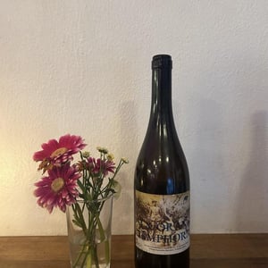 m + orange amphora - Abraam’s Garden - abraams-garden -2022