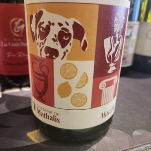 Macchia - Domaine de Mathalis - lisa-cipolla-mathieu-wild -2024