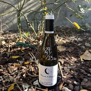 Mâcon Villages - Domaine des Gandines - benjamin-et-florent-dananchet