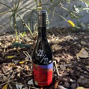 Magnus - Haut-Campagnau - dominique-andiran