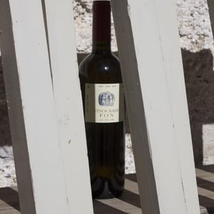 Malvazija Selezione - Vinogradi Fon - marko-fon -2018