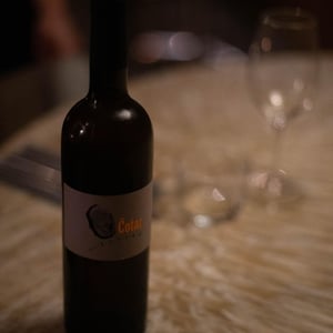 Malvazija - Čotar - branko-vasja-cotar