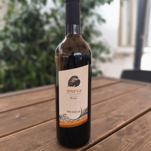 Malvazija - Murva - alberto-pelos-renata-pizzulin -2019