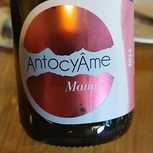 Mamuz - AntocyÂme - Muriel Zoldan