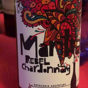 Mantra - Secreto Patagonico - bodega-y-vinedos -2023