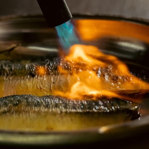 Maquereau Mariné & Brûlé - Savor - 967700