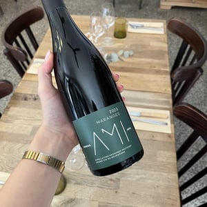 Maranges Au Bois Sud - Domaine Ami - paul-marchand-perarnau-willy-roulendes -2021