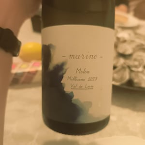 Marine - 1006 Vins de Loire - Pauline Lair