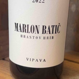 Marlon Batic - Batič Winery - miha-batic -2021