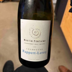 Martin Fontaine - Champagne Ruppert-Leroy - emmanuel-ruppert-benedicte-leroy