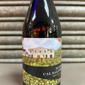 Masia Cal Salines - Cal Teixidor - josep-casanas