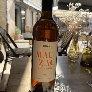 Mauzac - Domaine de Brin - damien-bonnet