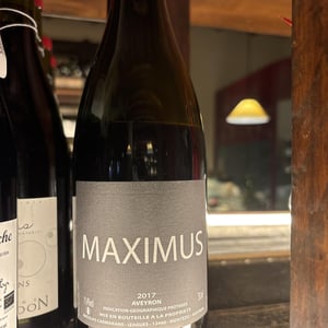 Maximus de la Pascole (X Nicolas Carmarans) - Nicolas Carmarans - nicolas-carmarans -2017