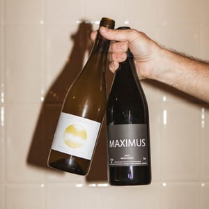 Maximus - Nicolas Carmarans - nicolas-carmarans