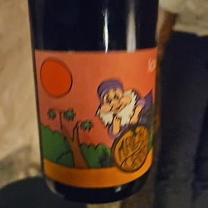 Mayga Gamay - Domaine de l'Octavin - alice-bouvot