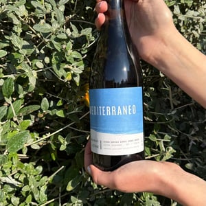 Mediterraneo - Azienda Agricola Giorgia Grande - giorgia-grande -2022