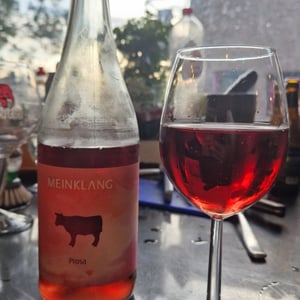 Meinklang - Prosa Rosé - Meinklang - Weingut Michlits - angela-werner-michlits -2023