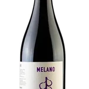 Melano - Tenuta San Marcello - massimo-palmieri-pascale-marquet -2024