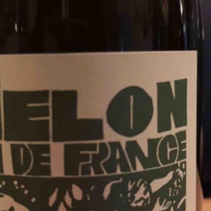 Melon - Domaine de La Soeur Cadette - jean-valentin-montanet