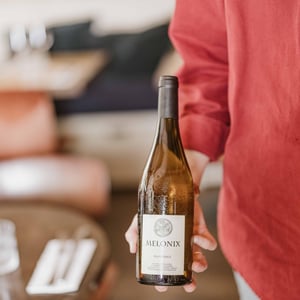 Melonix - Domaine Jo Landron - jo-landron