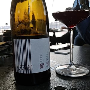 Mercenario - Fazenda Agricola Augalevada - Iago Garrido -2021