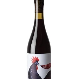 Merloq - Il Ceo - davide-andreatta