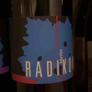 Merlot - Radikon - famiglia-radikon