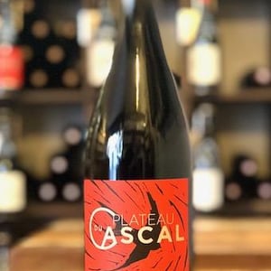 Merlot - Plateau Du Cascal - sofi-bataillard-et-julien-veyret