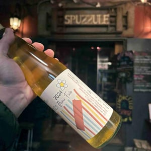 MESÓTĒS primo fiore 2024 - Officina CONSENSO - sergio-pappalardo -2024